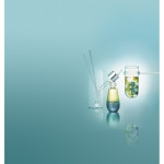 ELEMIS Масло для обличчя Морські водорості - Pro-Collagen Marine Oil 15 мл