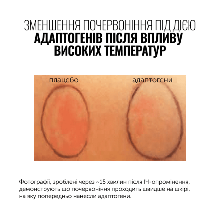 Instytutum Відновлюючий крем з керамідами і комплексом пре- та пробіотиків Superbiotic Plant-Based Ceramide Cream Instytutum Відновлюючий крем з керамідами і комплексом пре- та пробіотиків Superbiotic Plant-Based Ceramide Cream