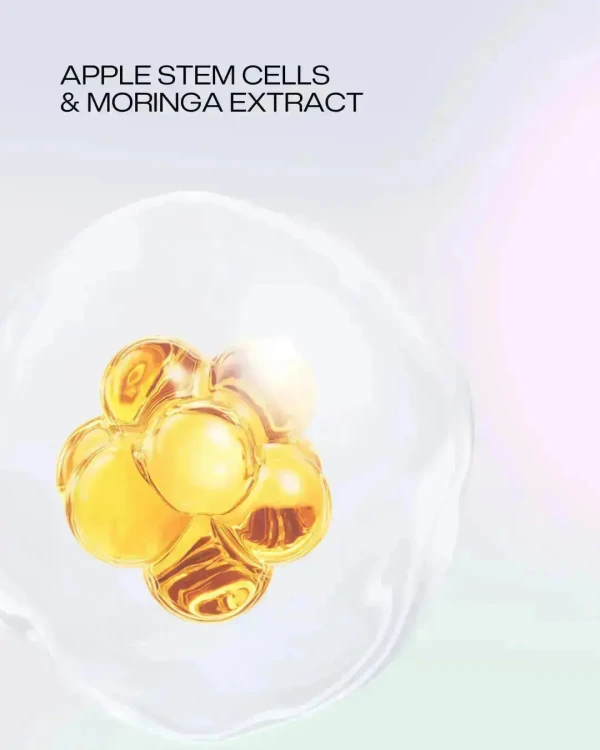 MARGY’S Підтягувальний крем для тіла з колагеном Collagen Firming Cream - Body, 100 мл MARGY’S Підтягувальний крем для тіла з колагеном Collagen Firming Cream - Body, 100 мл