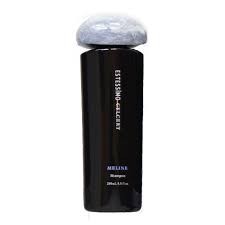 LEBEL - ESTESSIMO Шампунь зволожуючий Celcert Meline Shampoo 250 мл