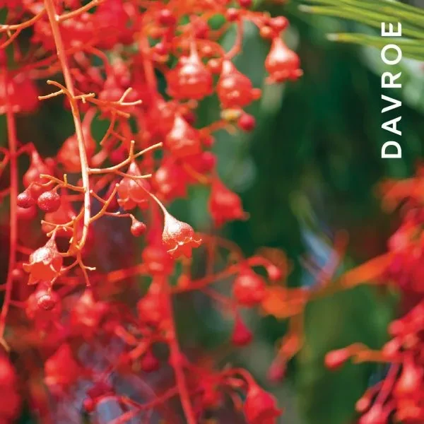 DAVROE Гель для вмивання Body and Face Cleansing Gel